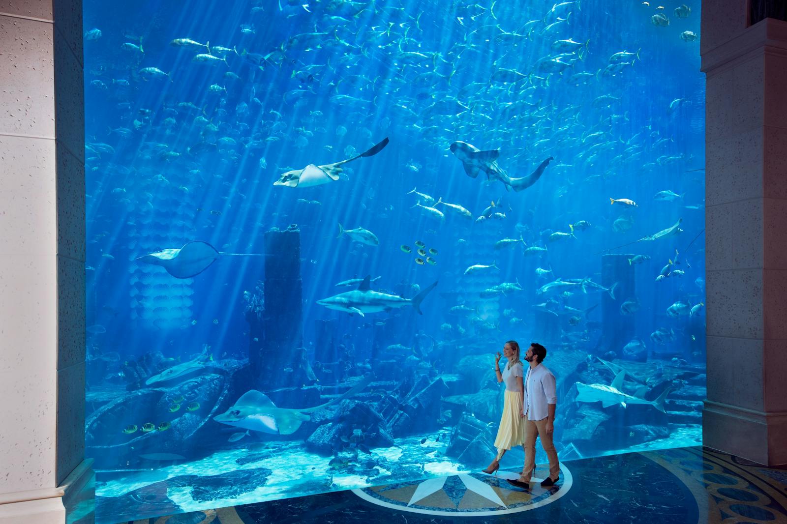 Et par foran det enorme akvarium på Aquaventure World