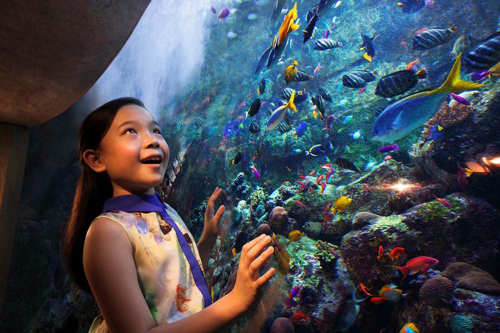 Csodálkozó lány az Aquaventure World halai előtt