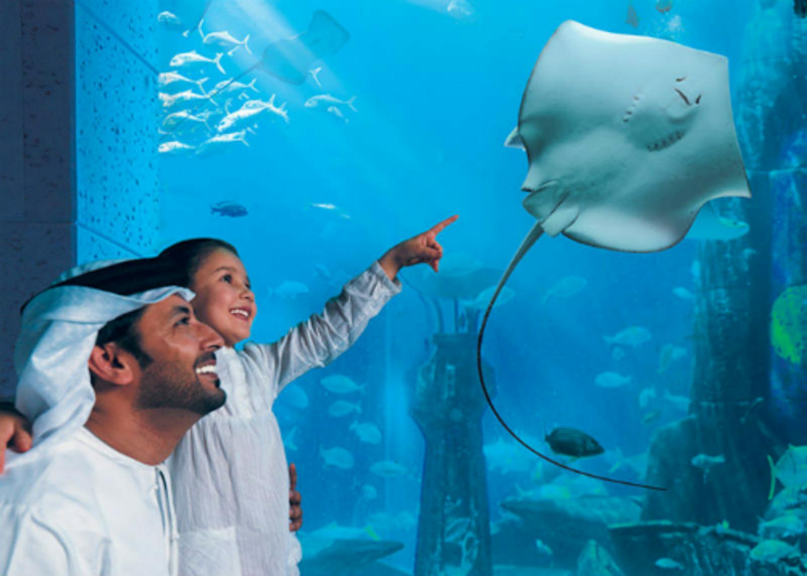 Père et fils observant une raie à l'Aquaventure World