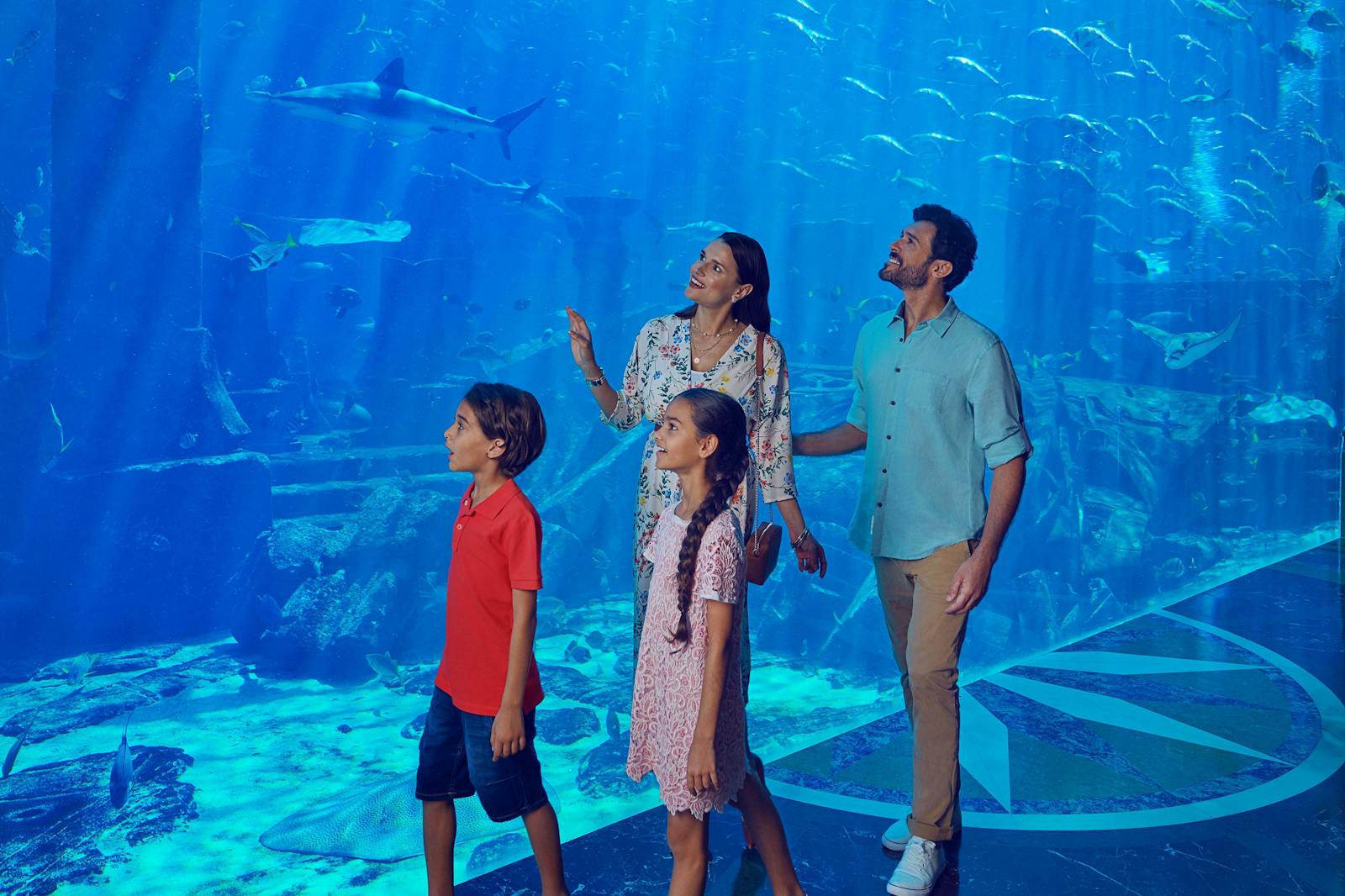 Een verbazingwekkend gezin voor de vissen van Aquaventure World